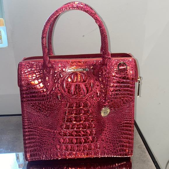 Brahmin - Picture 3 of 15